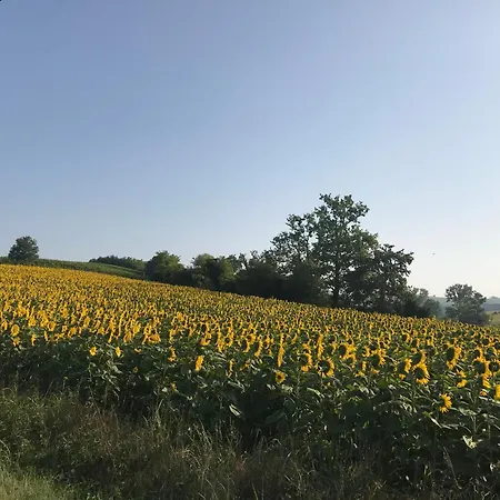 Cascina Liebe Jacuzzi E Sauna Nel Cuore Del Monferrato Ozzano Monferrato